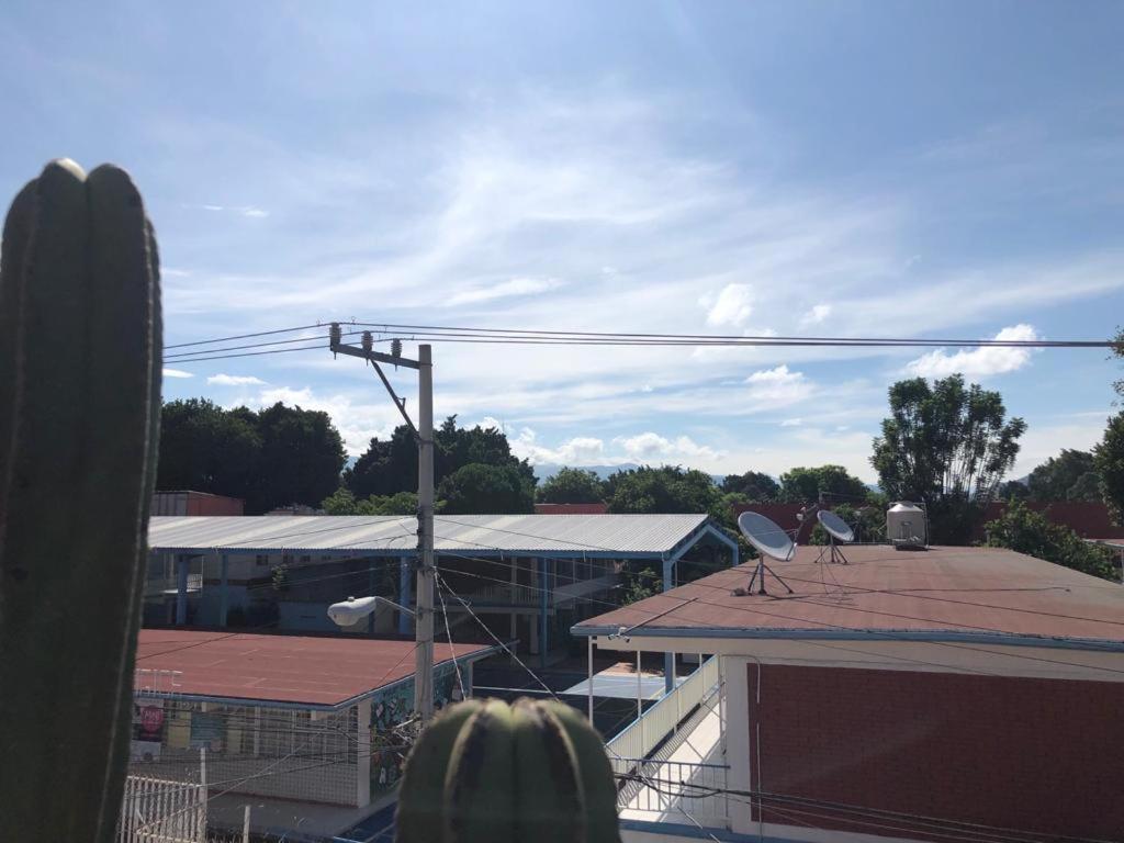 Casa Cronica Apartment Oaxaca Екстериор снимка