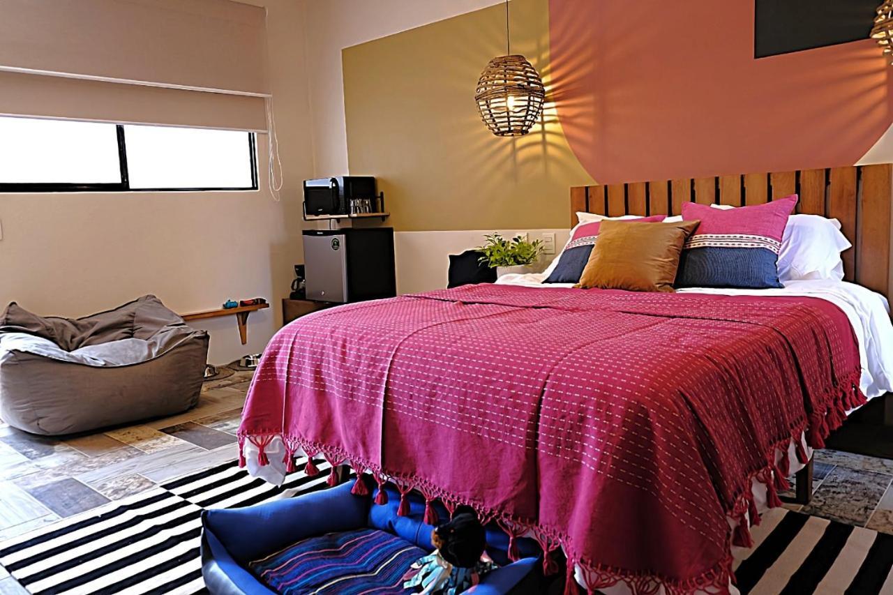 Casa Cronica Apartment Oaxaca Екстериор снимка