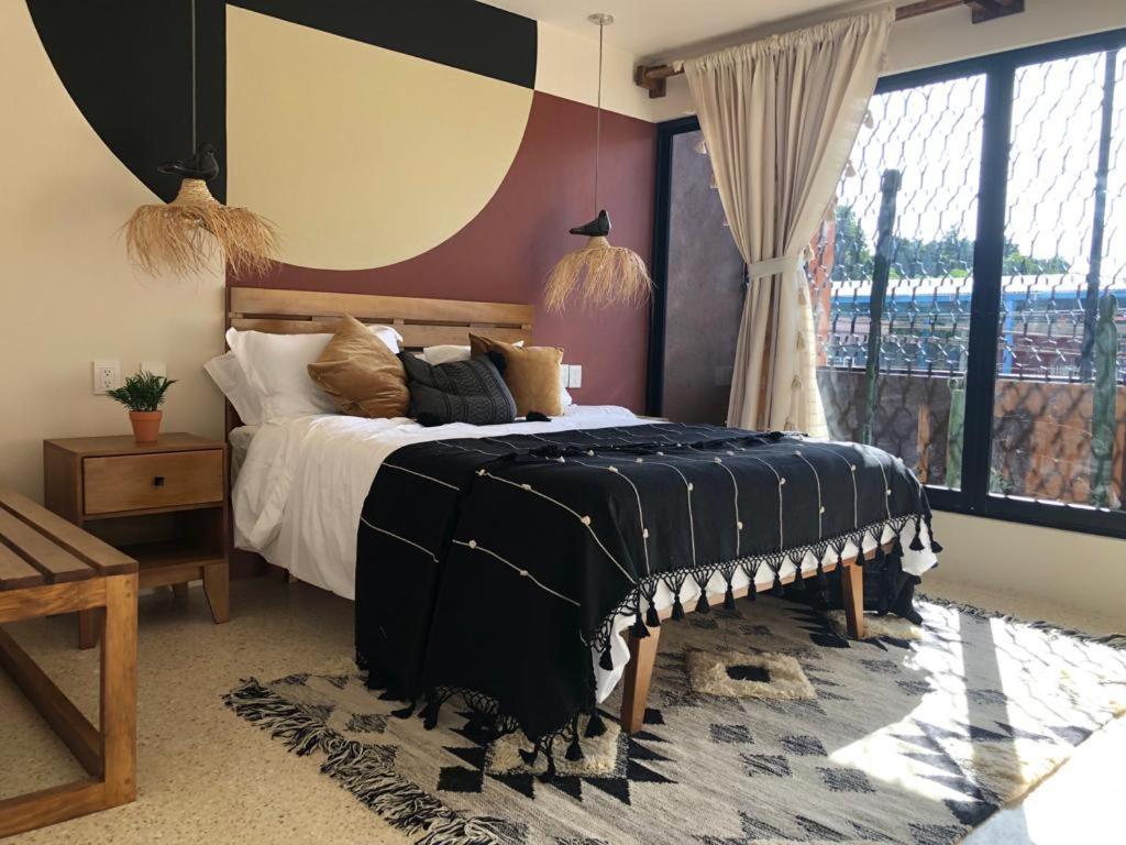 Casa Cronica Apartment Oaxaca Екстериор снимка