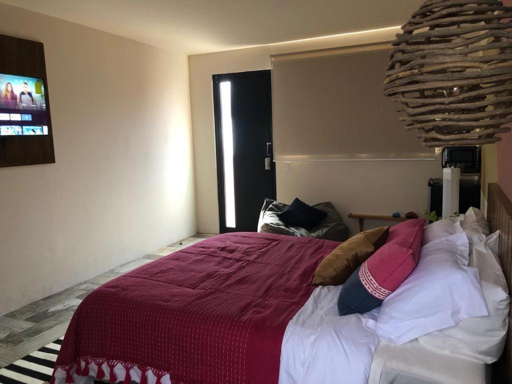 Casa Cronica Apartment Oaxaca Екстериор снимка