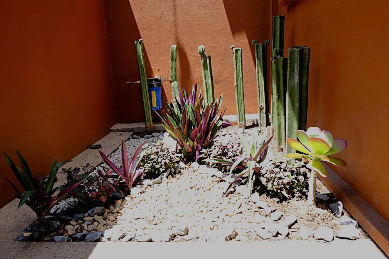 Casa Cronica Apartment Oaxaca Екстериор снимка